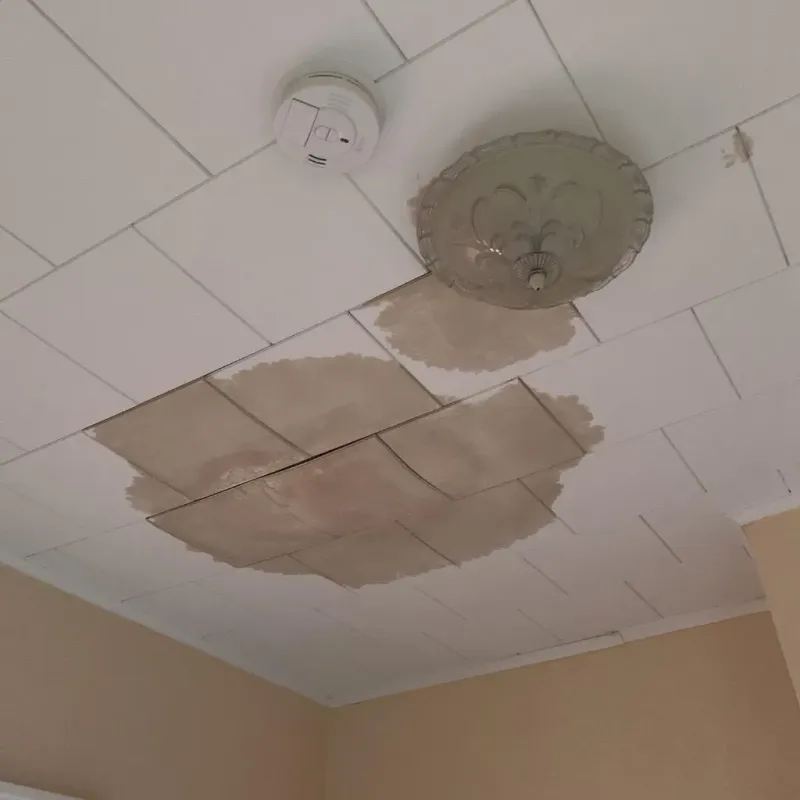 Ceiling Water Damage Repair in Valley Hill, NC