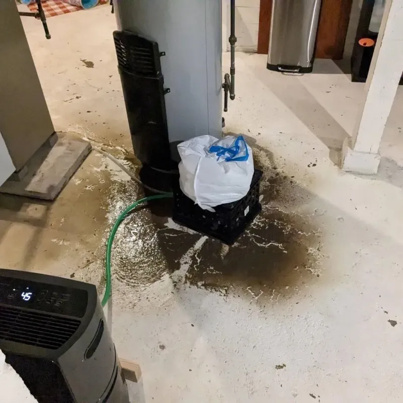 Sewage Backup Cleanup Service in Valley Hill, NC